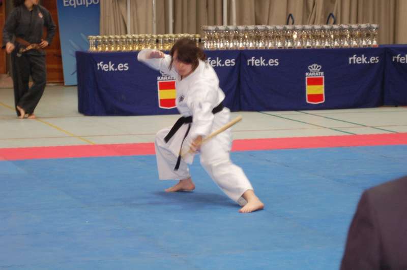 Tres Medallas en el Campeonato de España de Kenpo